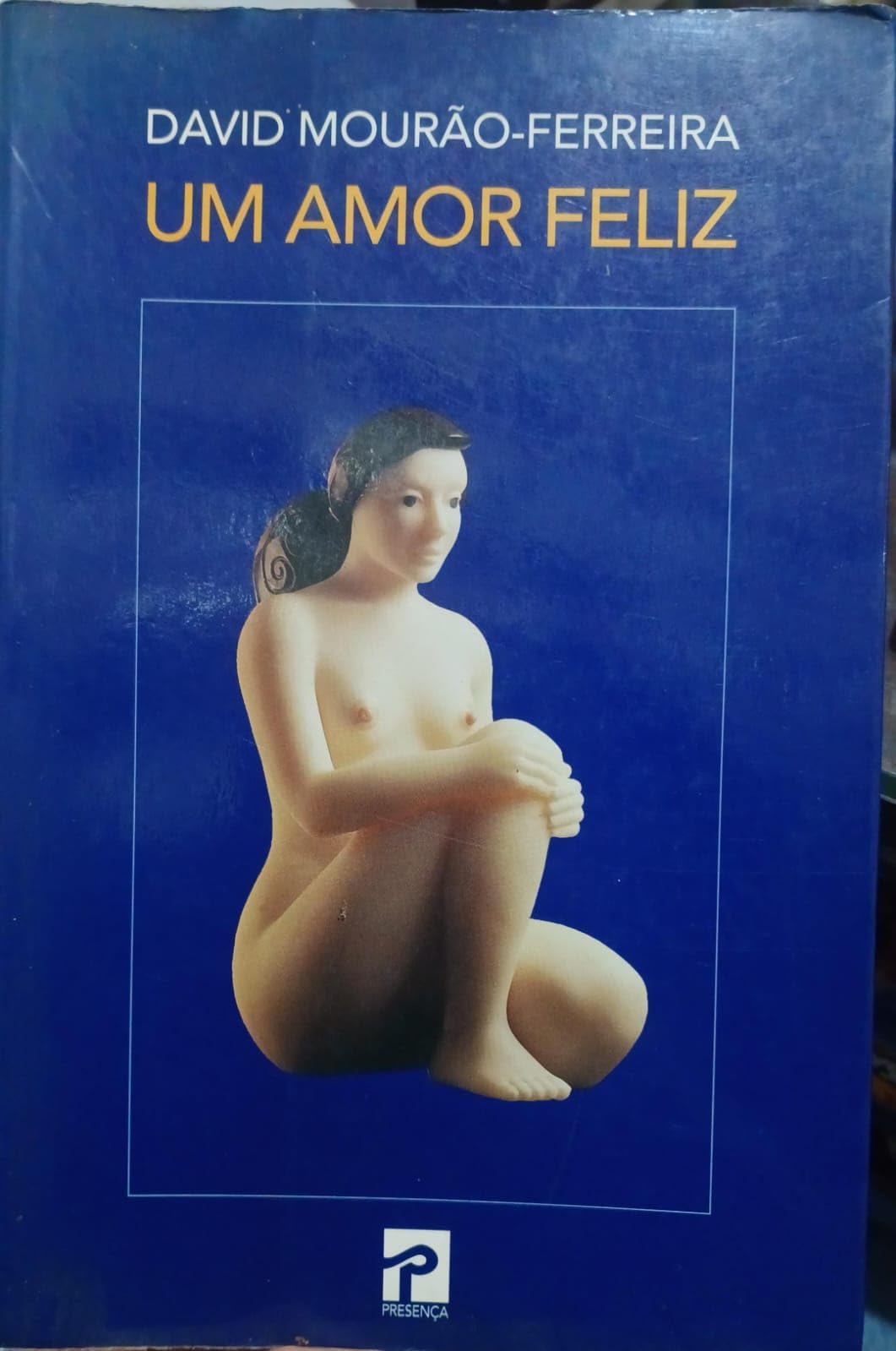Um Amor Feliz book