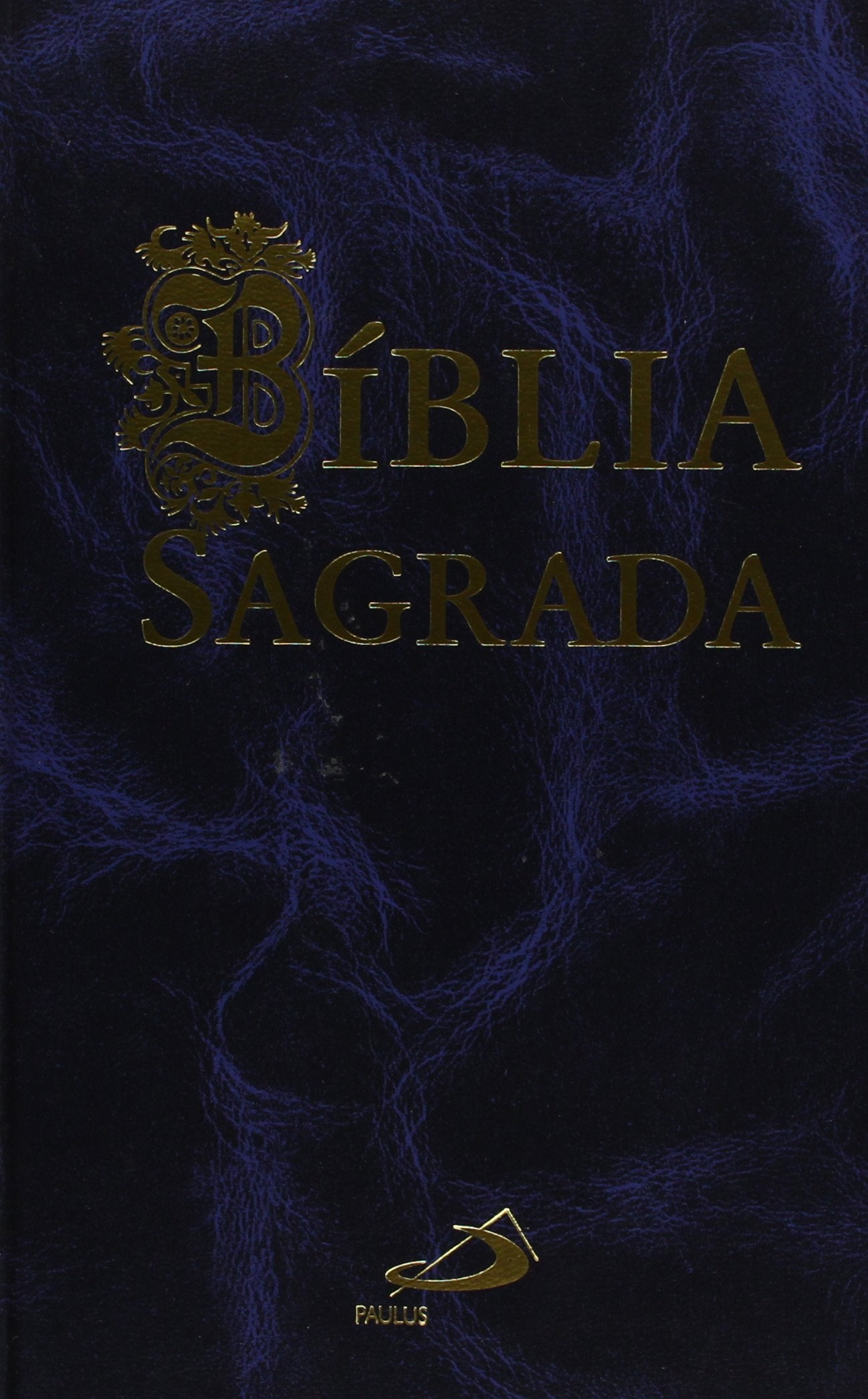 Bíblia Sagrada (Média Encadernada Azul) Portuguese Edition VV AA book