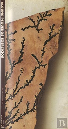 Alguns Pequenos Exercícios (Portuguese Edition) Diogo Alcoforado book