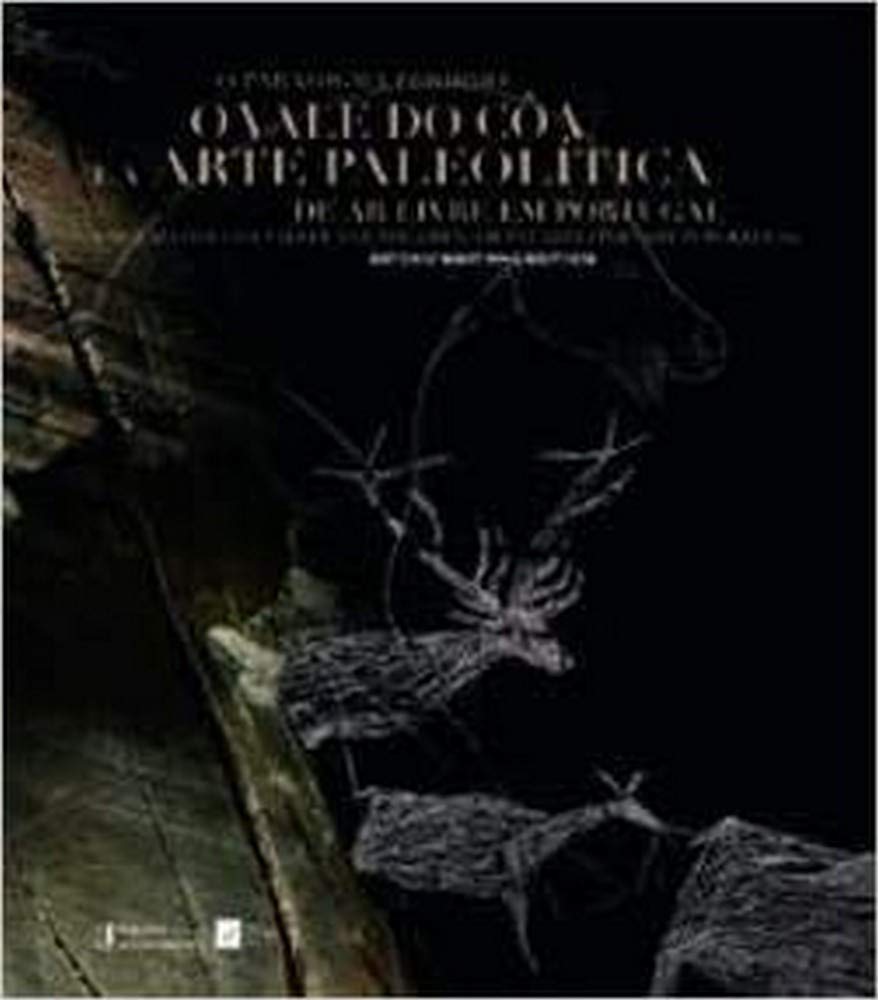 O Paradigma Perdido O Vale do Côa e a Arte Paleolítica de Ar Livre em Portugal (Bilingue Edition) António Martinho Baptista book
