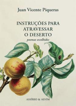 Instruções para Atravessar o Deserto (Portuguese Edition) Juan Vicente Piqueras Books