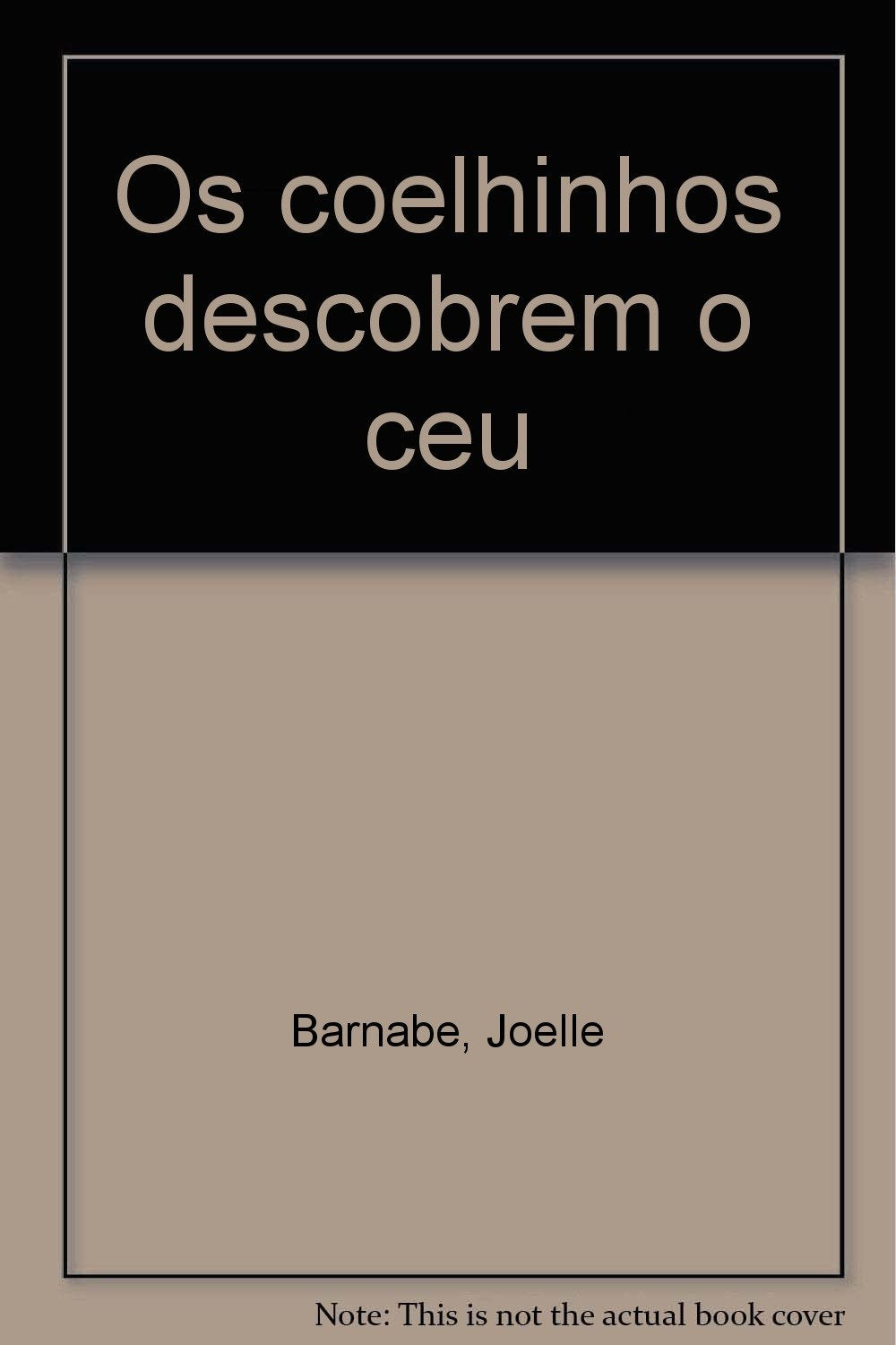 Os coelhinhos descobrem o ceu book