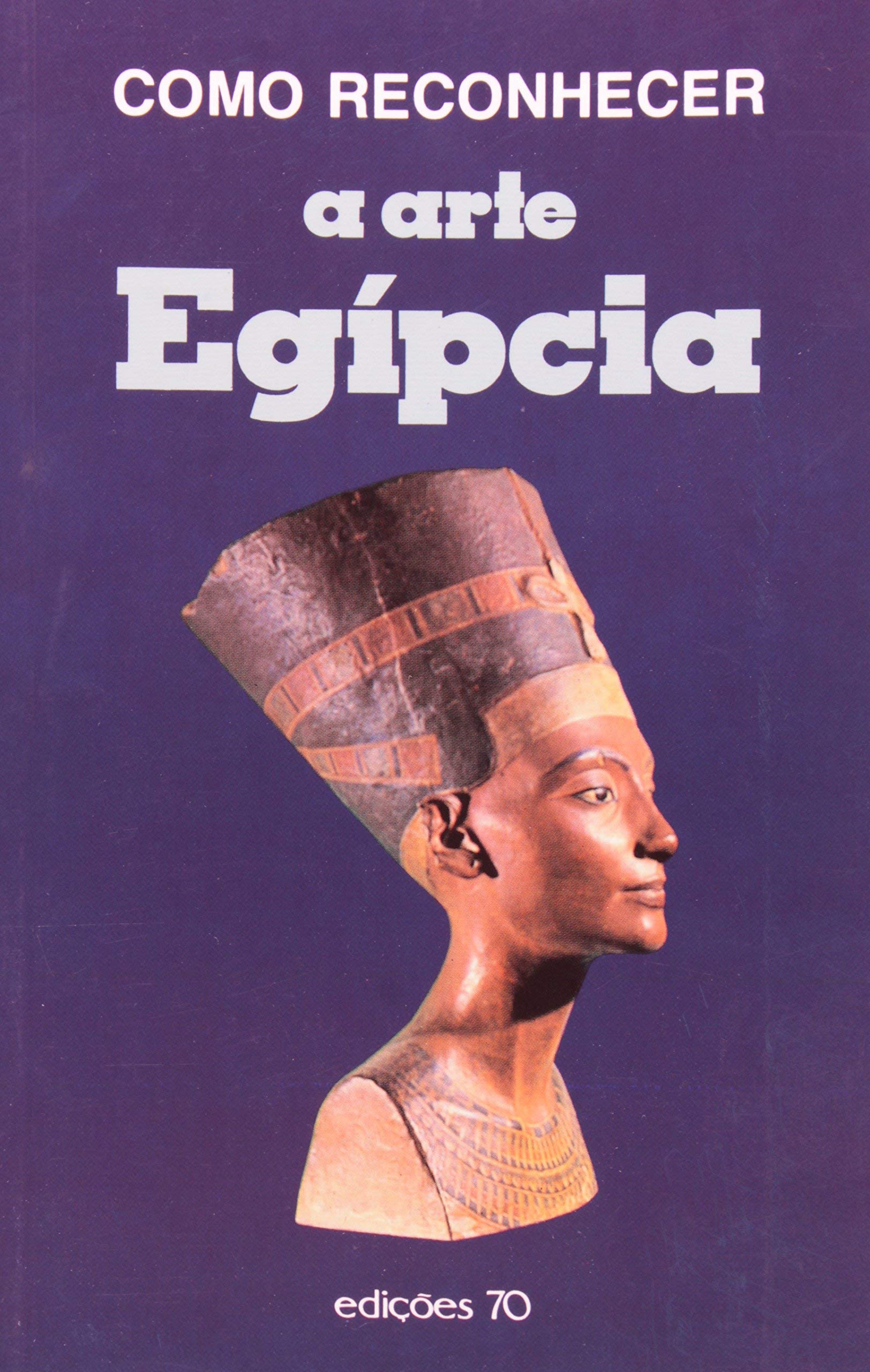 Como Reconhecer a Arte Egípcia (Em Portuguese do Brasil) book
