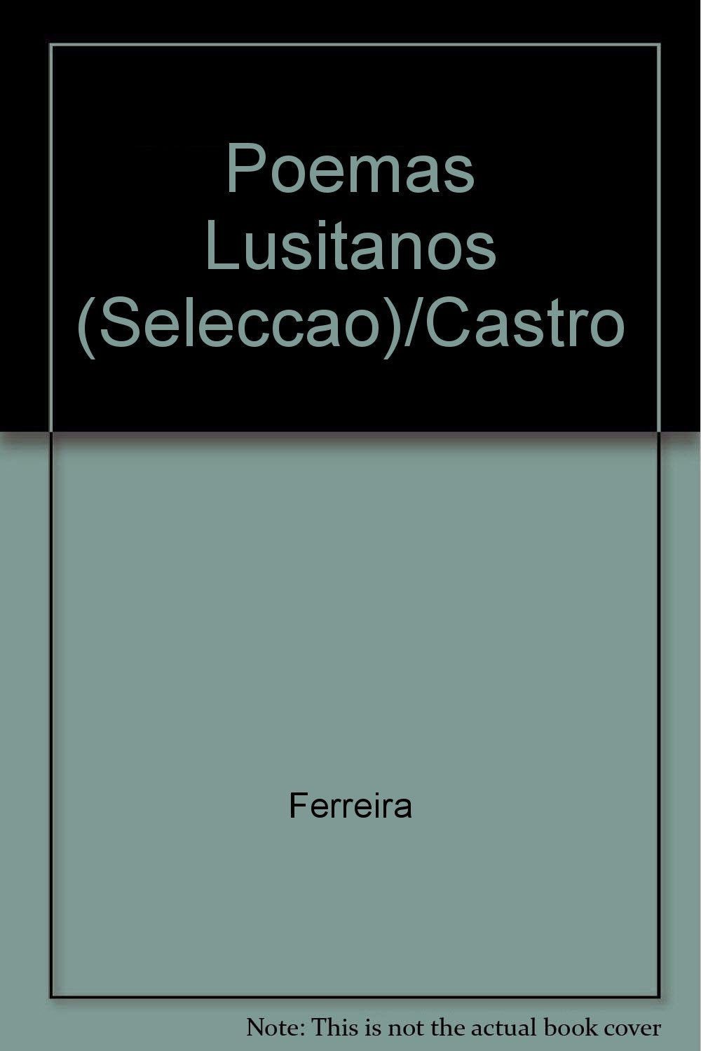 Poemas Lusitanos (Seleccao)/Castro book