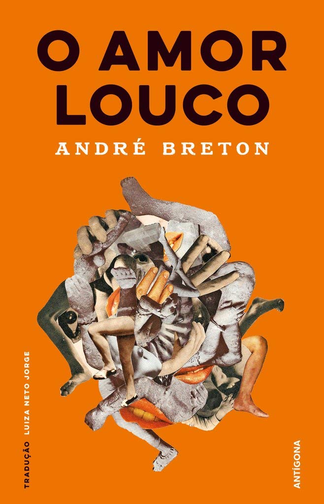 O Amor Louco (Portuguese Edition) book
