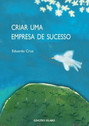Criar Uma Empresa de Sucesso (Portuguese Edition) Eduardo Cruz book