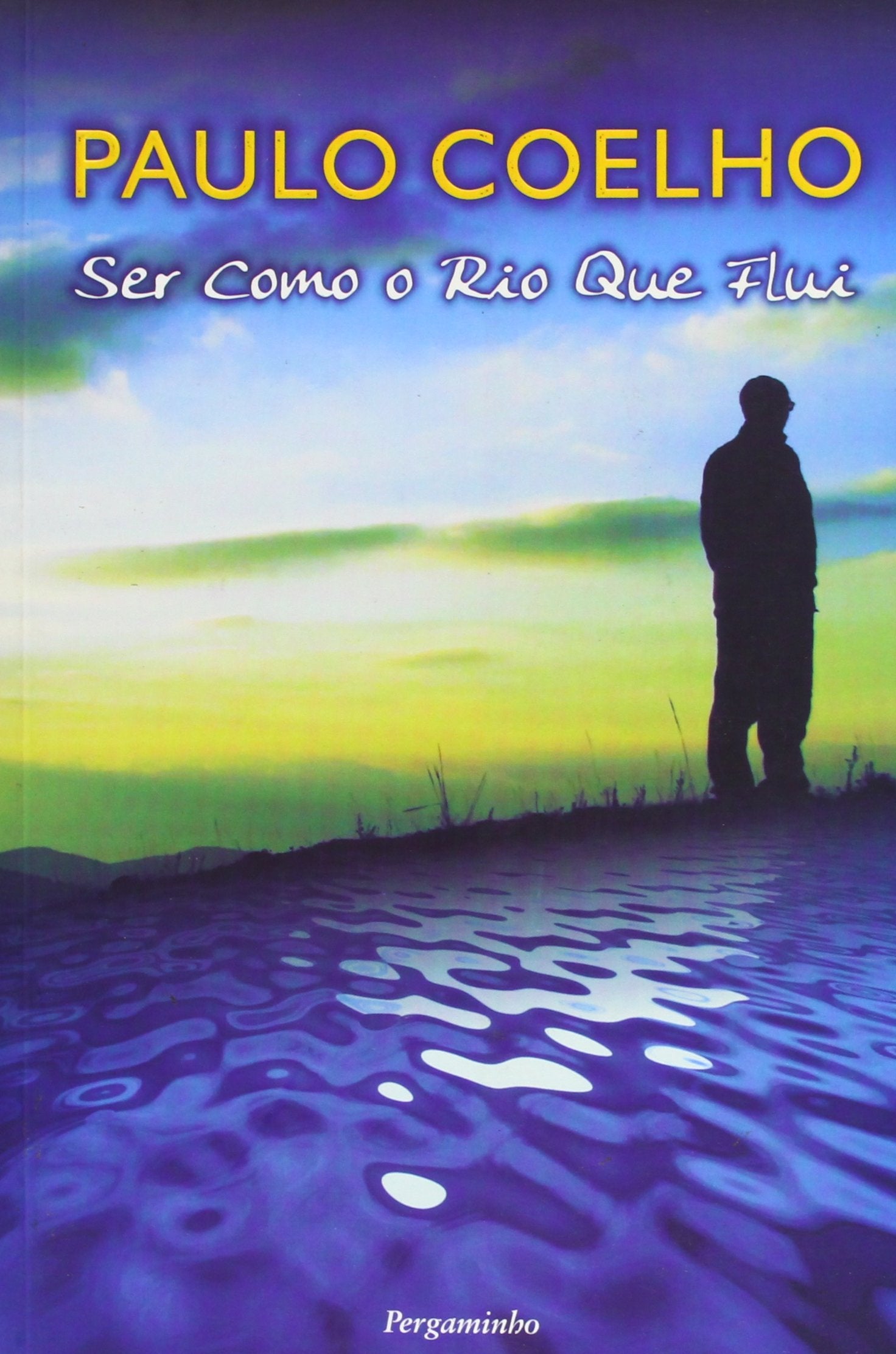 Ser como o rio que flui book
