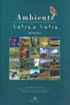 Ambiente Letra a Letra (Portuguese Edition) António Eloy book