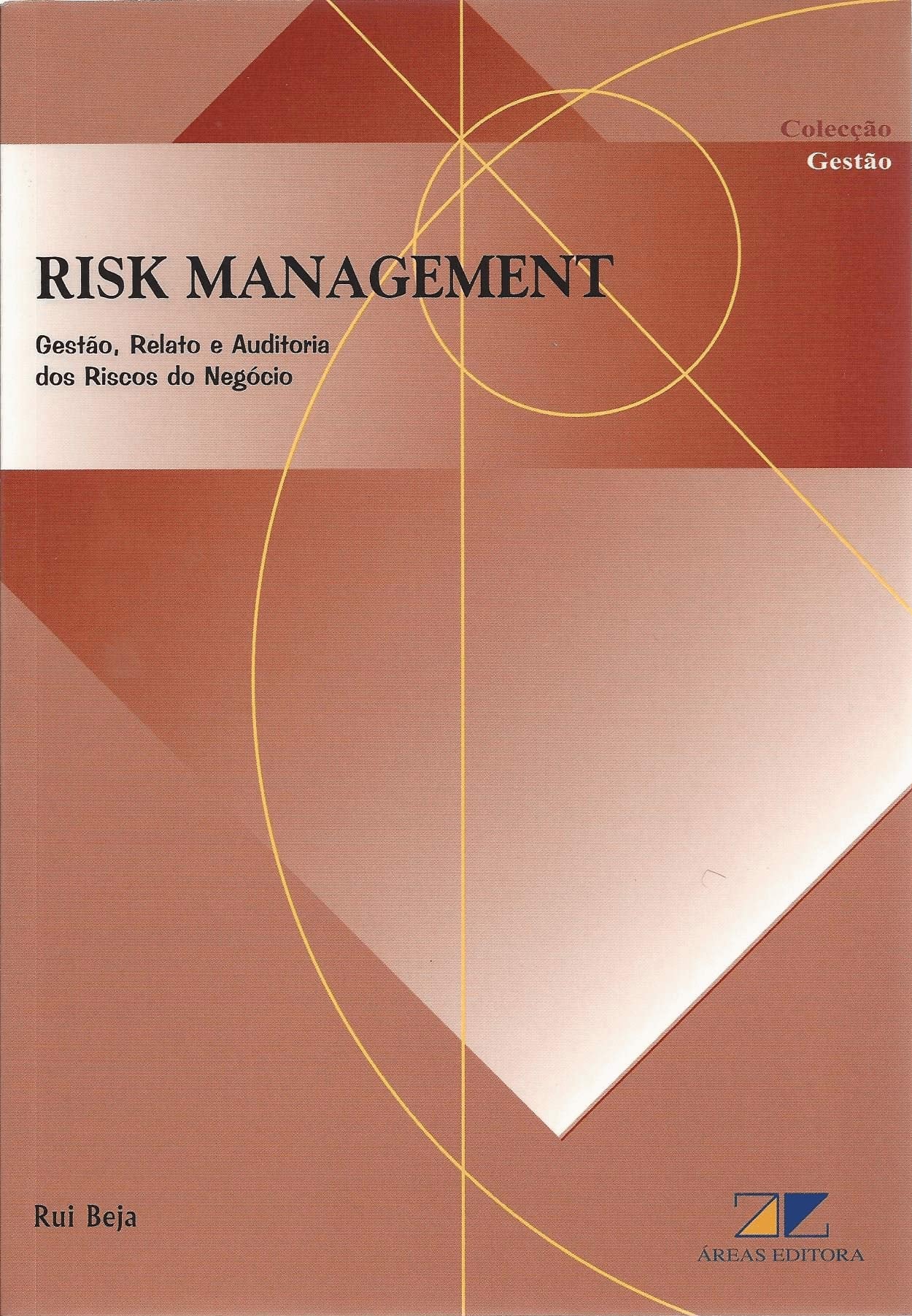 Risk Management Gestão, Relato e Auditoria dos Riscos do Negócio (Portuguese Edition) Rui Beja book