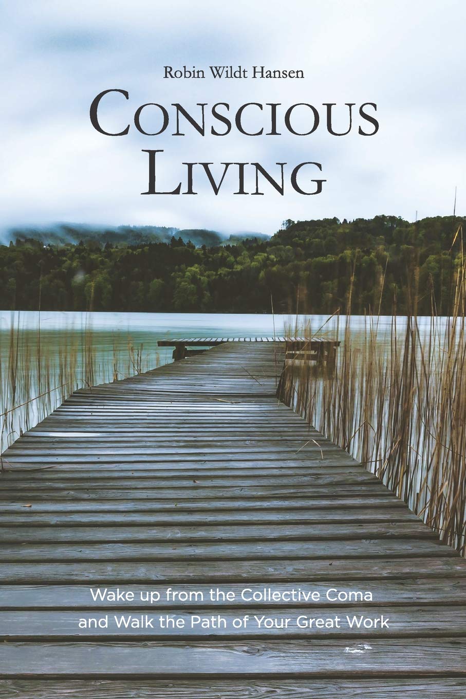 Conscious Living: Wake up from the Collective Coma and Walk the Path of Your Great Work Philosophy