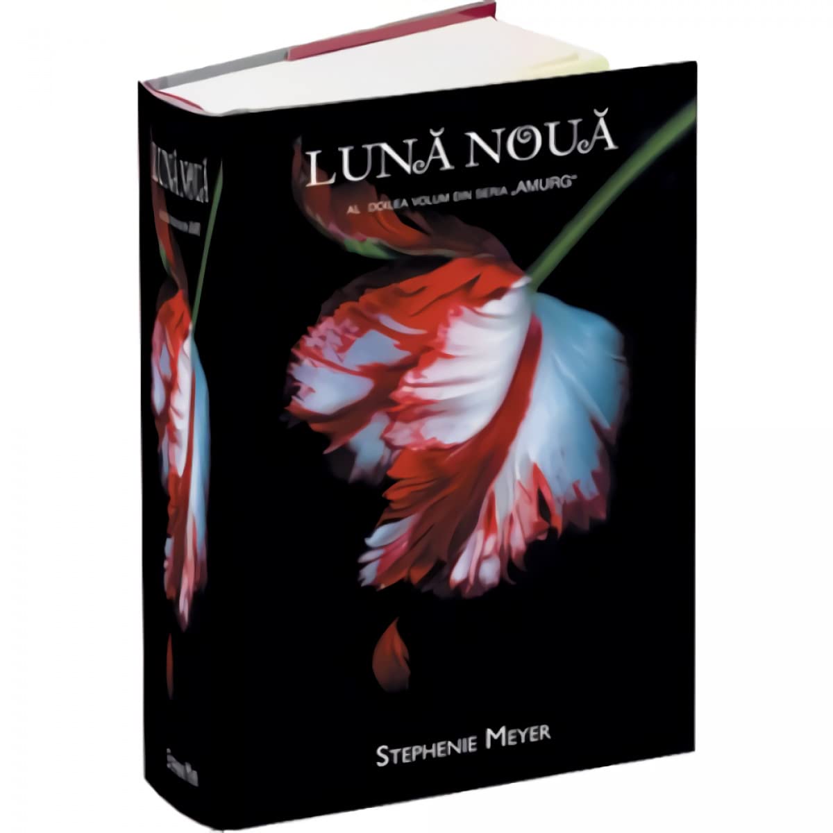 LUNA NOUA Books