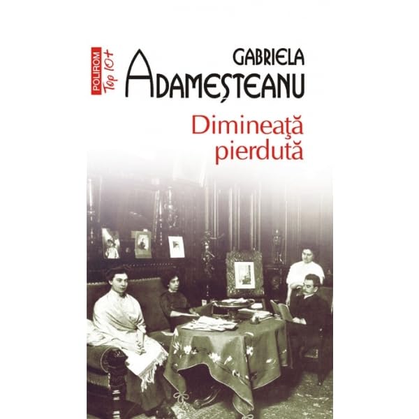 DIMINEATA PIERDUTA TOP 10 Contemporary literature
