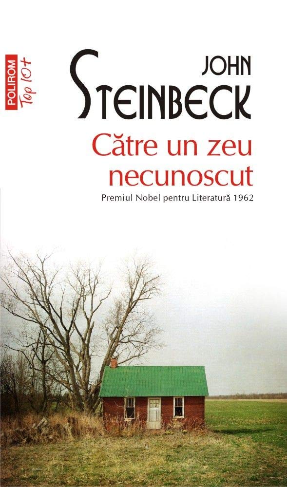 Catre Un Zeu Necunoscut. Top 10+ Contemporary literature