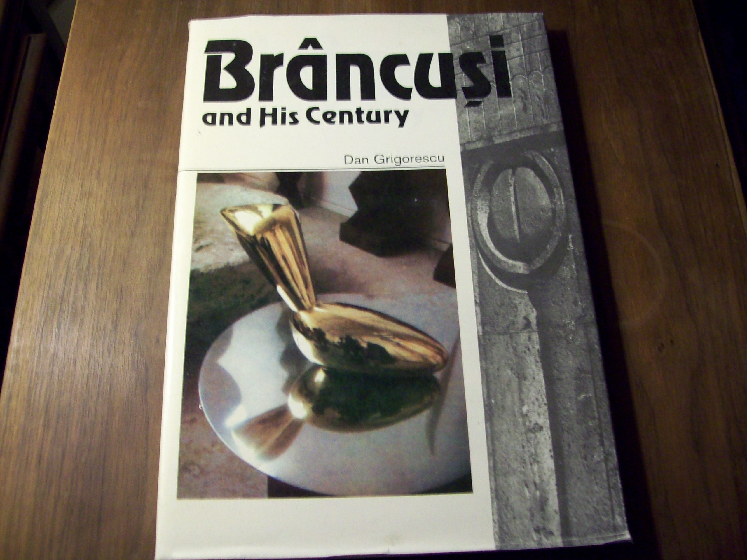 Brancusi and his century Books
