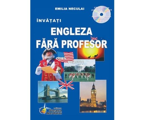 Engleza fara profesor Emilia Neculai book