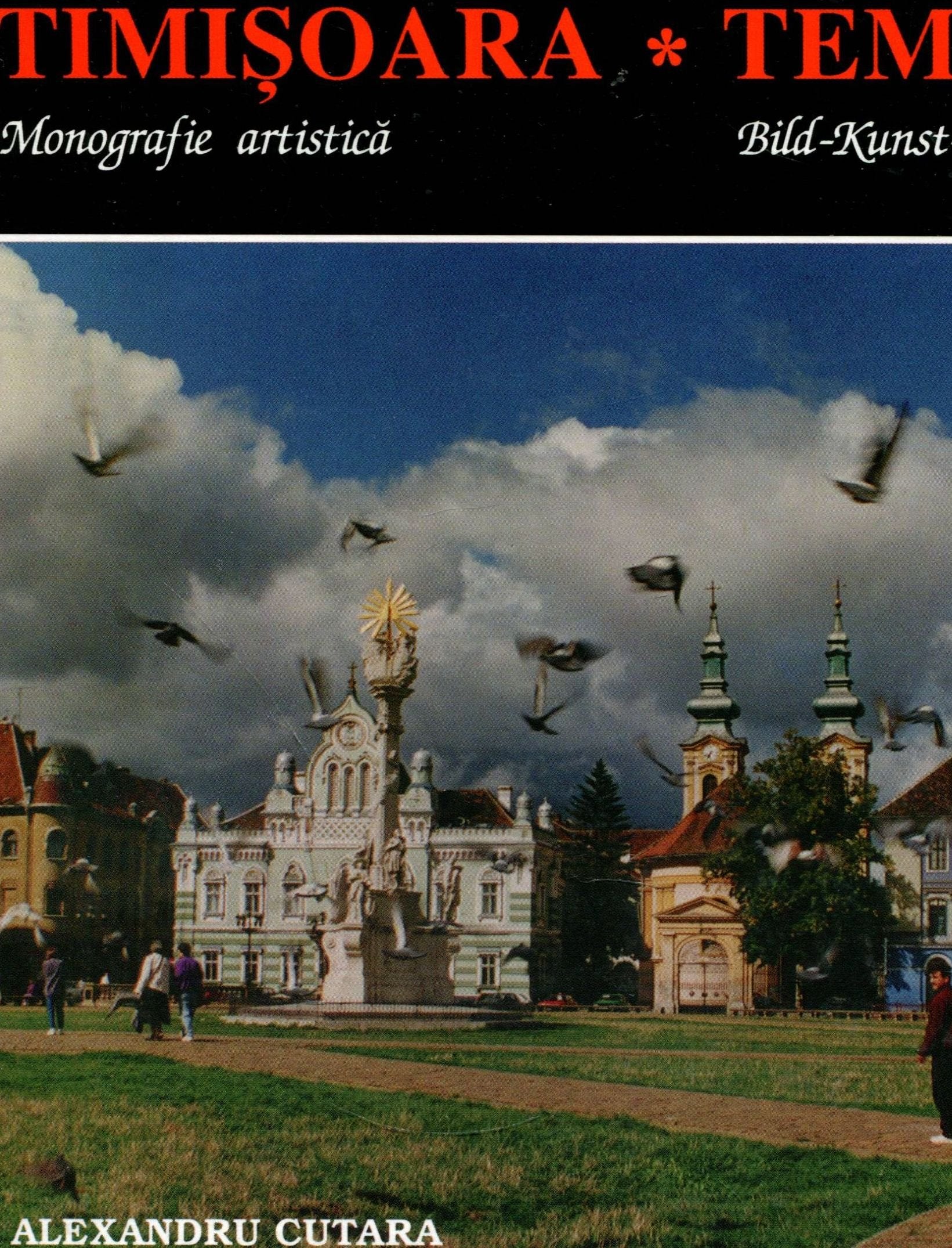 Timisoara: Monografie artistica = Temeswar : Bild, Kunst, Monographie (Romanian Edition) Books
