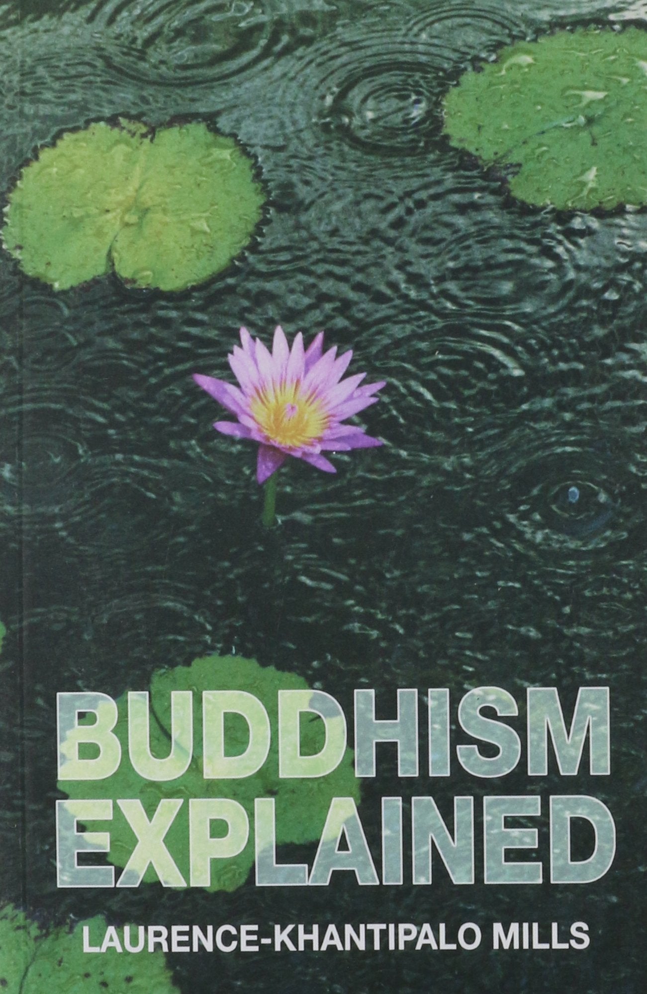 Product Image: Buddhism Explained