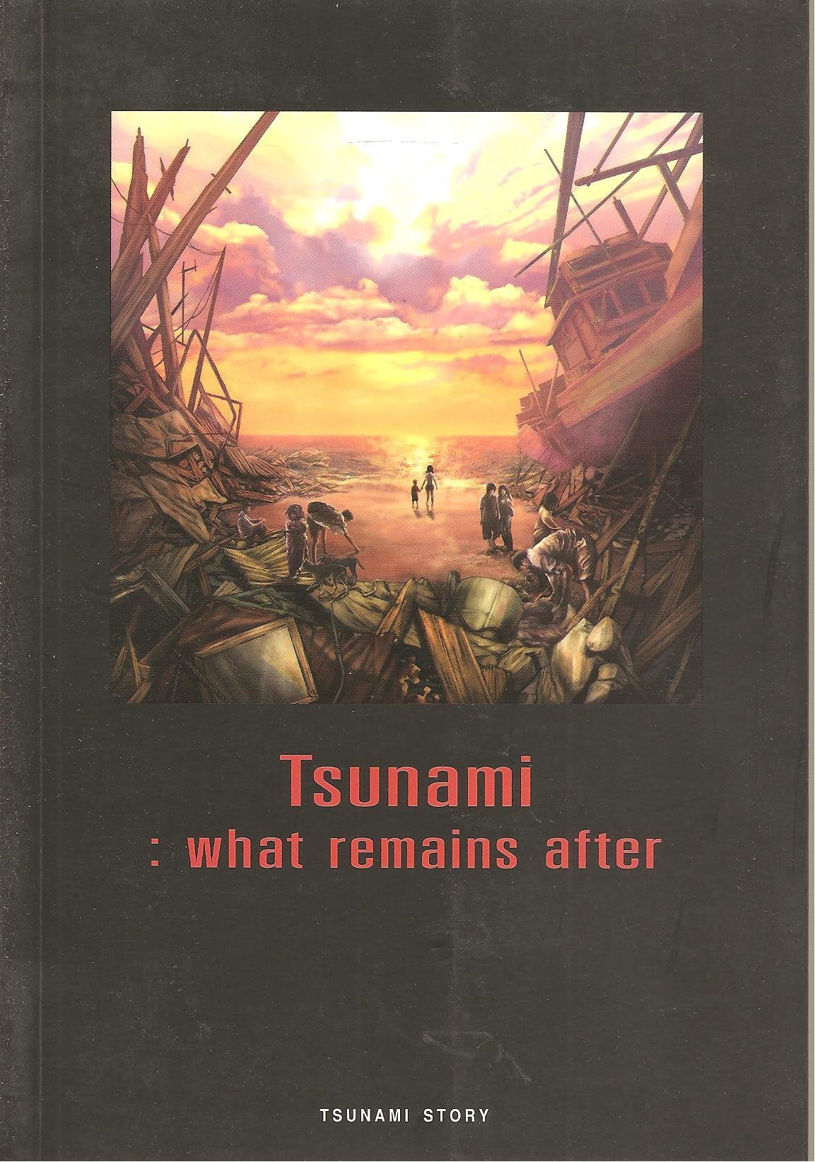 Tsunami: What Remains After Books