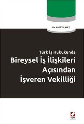 Turk Is Hukukunda Bireysel Is Iliskileri Acisindan Isveren Vekilligi Books