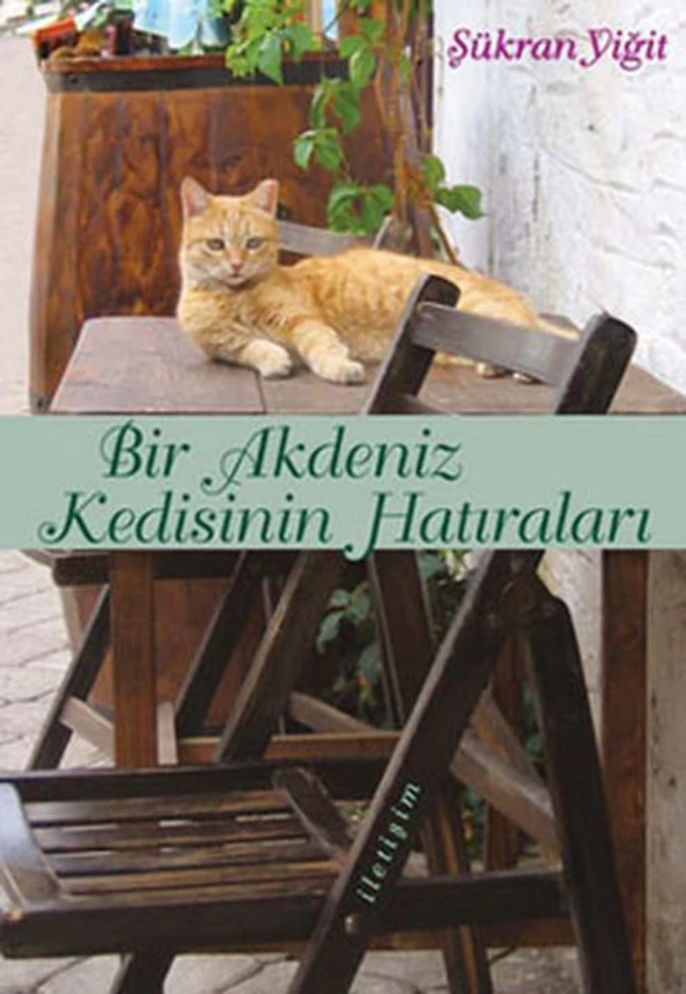 Bir Akdeniz Kedisinin Hatiralari Contemporary literature