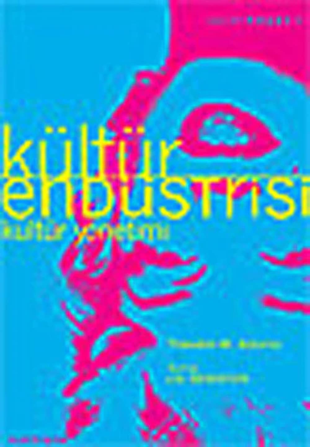 Kültür Endüstrisi Books