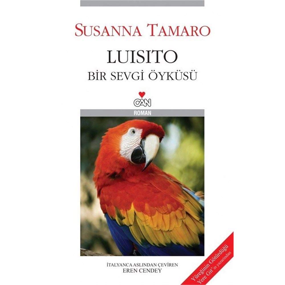Luisito: Bir Sevgi Öyküsü Contemporary literature