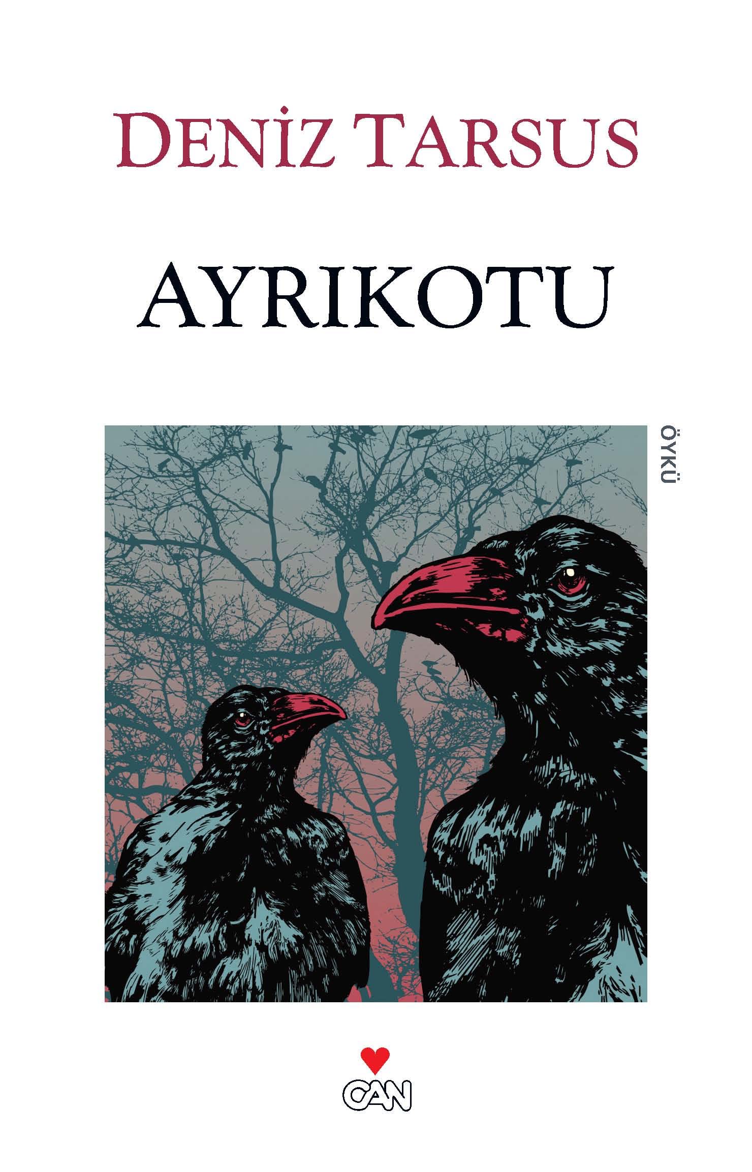 Ayrikotu: 2014 GİO Ödülleri / En İyi Öykü Kitabı Historical Fiction