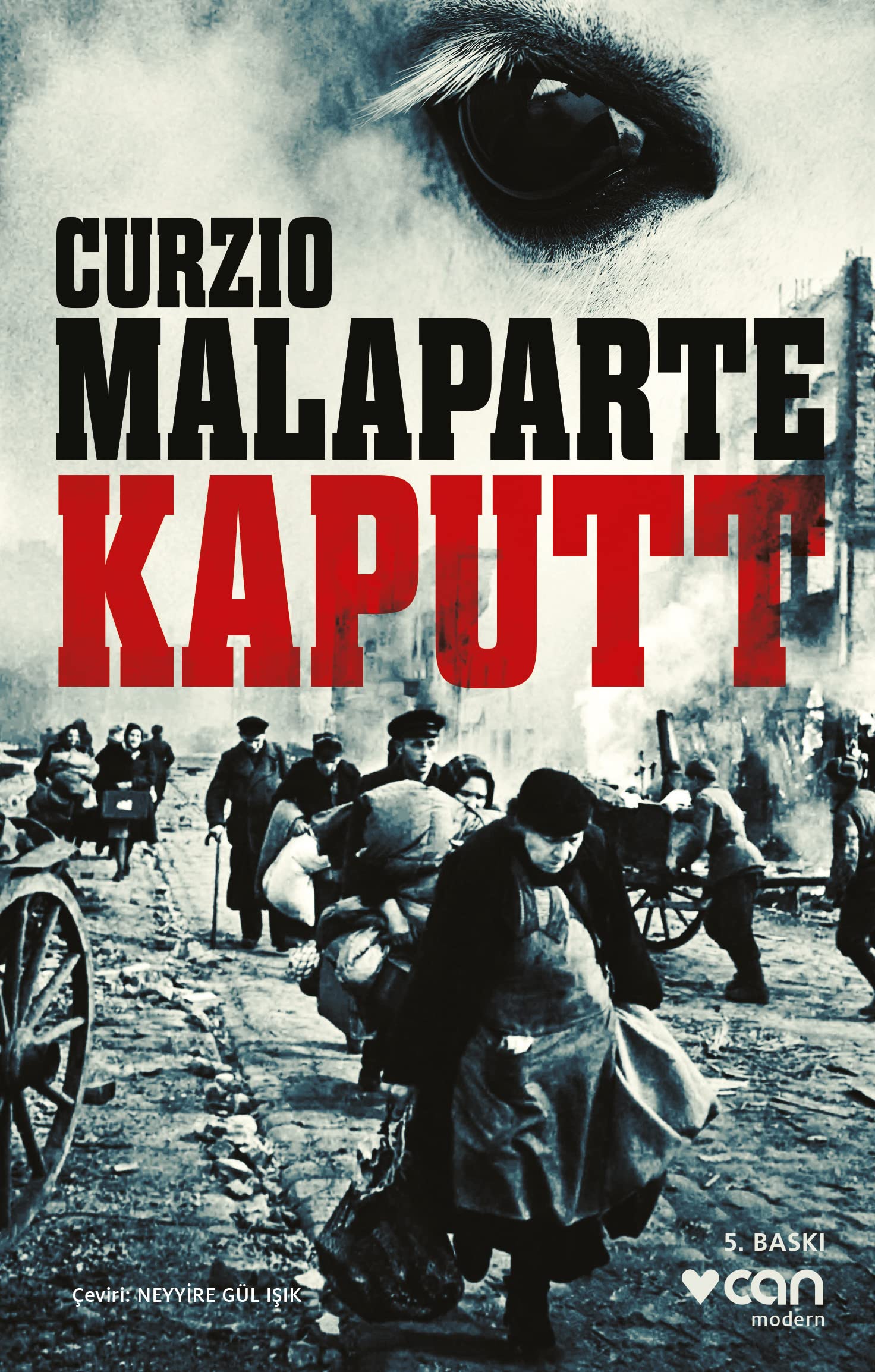 Kaputt Historical Fiction