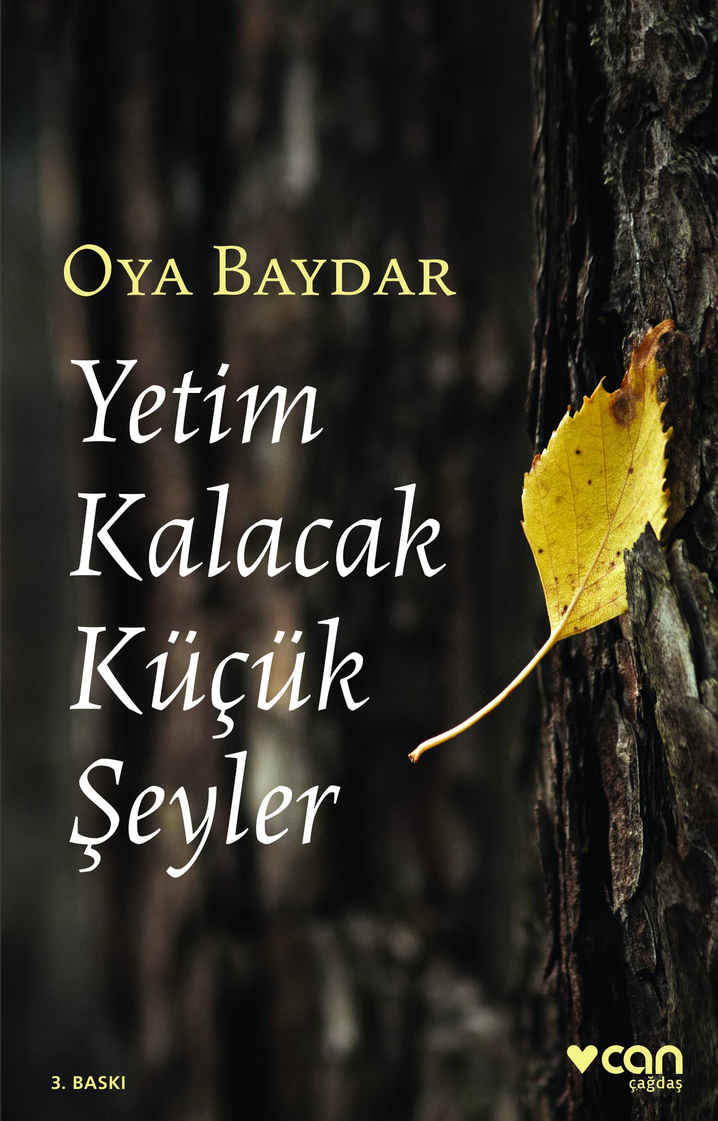 Yetim Kalacak Kücük Seyler Contemporary literature