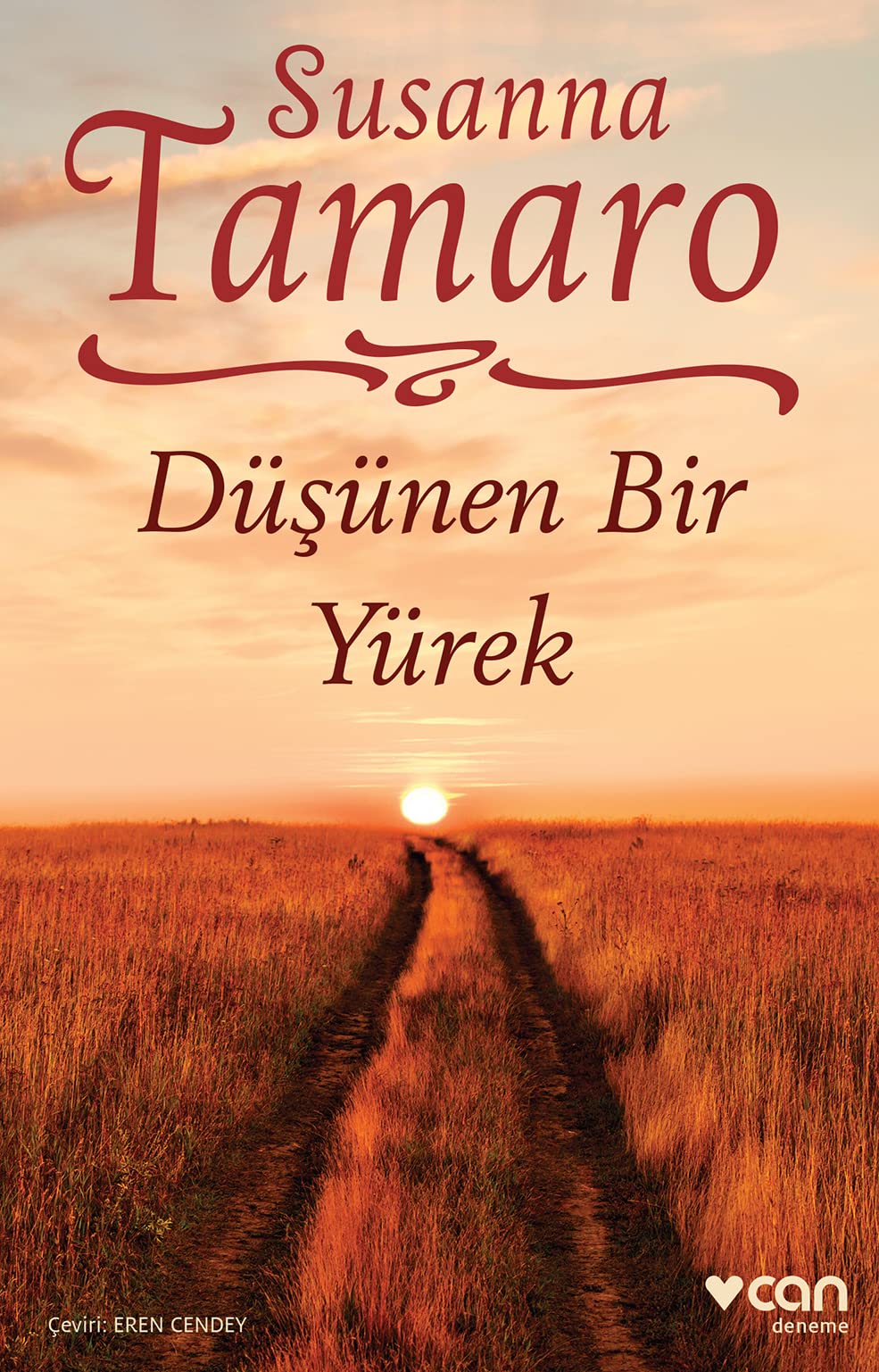 Düsünen Bir Yürek Essays & Short Stories