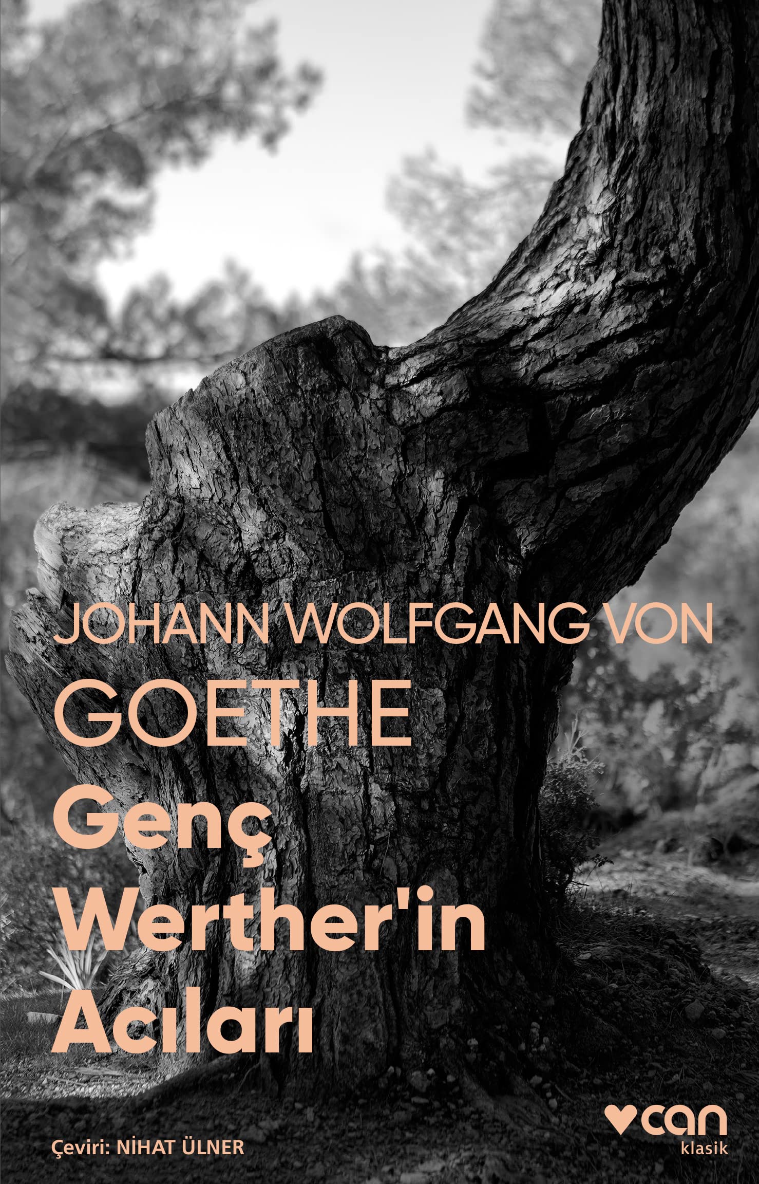 Genc Wertherin Acilari: Fotografli Klasikler: (Fotoğraflı Klasikler) Historical Fiction