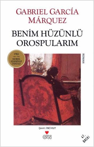 Benim Hüzünlü Orospularim Contemporary literature