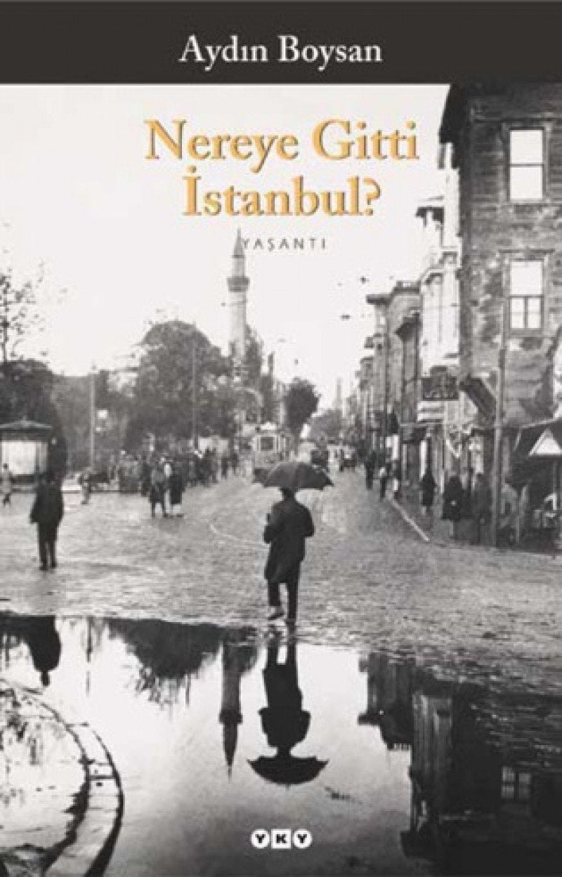 Nereye Gitti Istanbul book