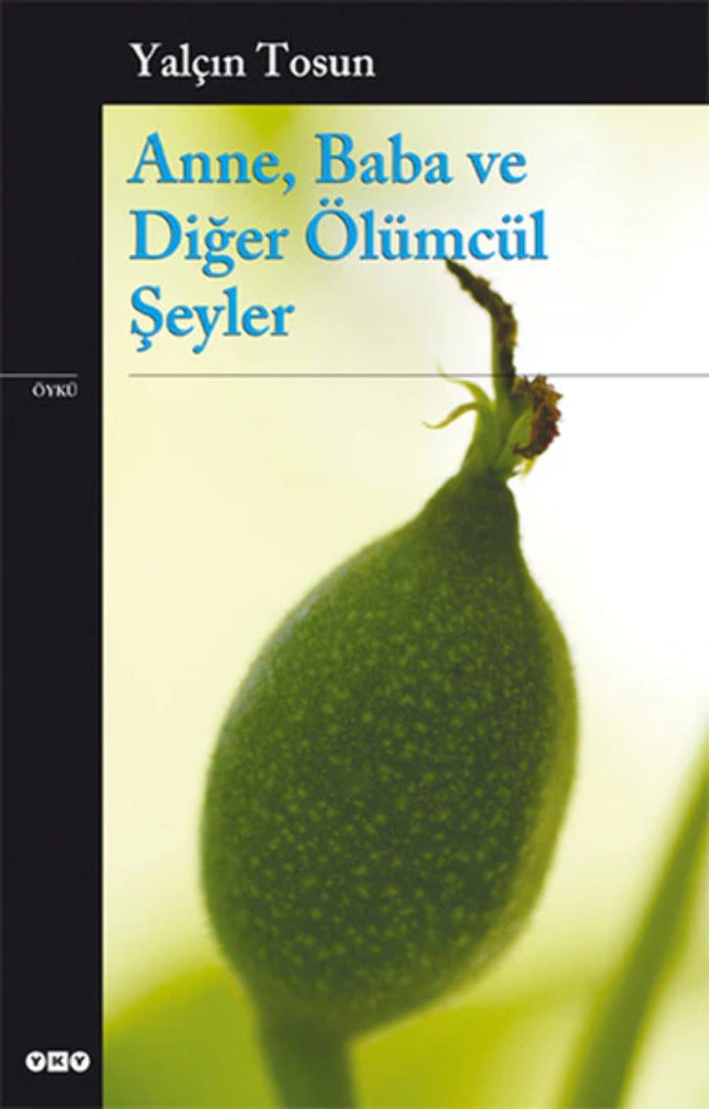 Anne, Baba ve Diger Ölümcül Seyler Historical Fiction
