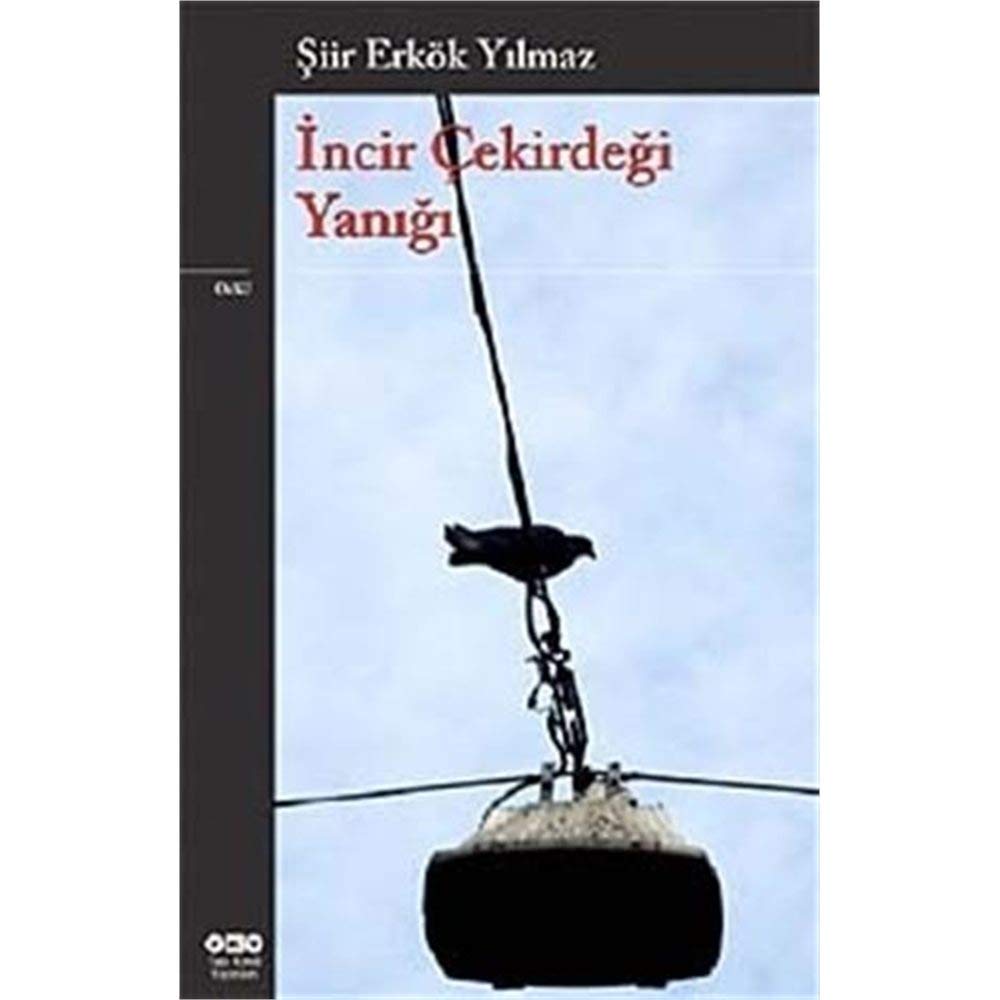 İNCİR ÇEKİRDEĞİ YANIĞI Historical Fiction