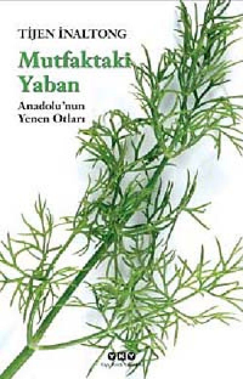 MUTFAKTAKİ YABAN KÜÇÜK BOY Medicine