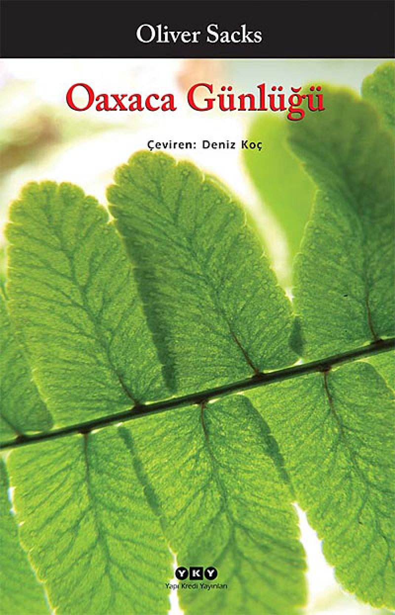 Product Image: Oaxaca Günlügü