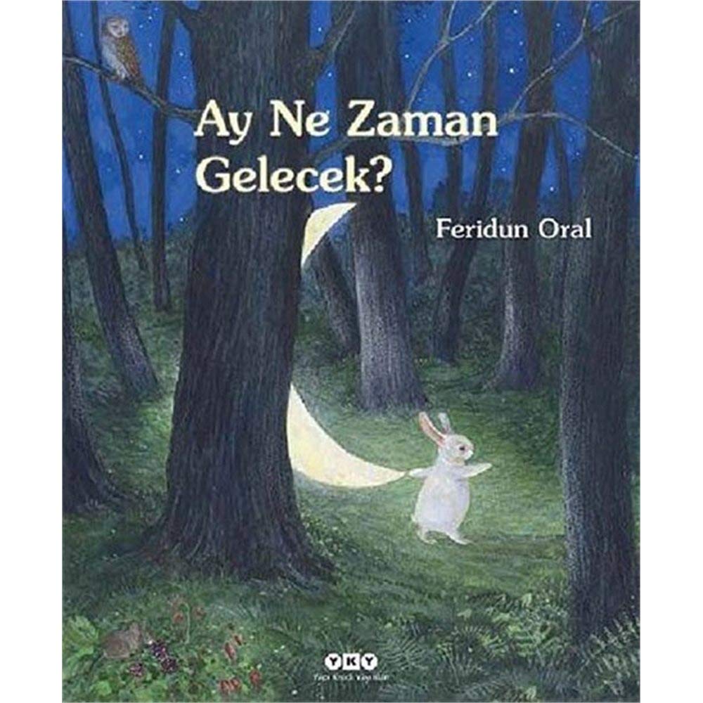 Ay Ne Zaman Gelecek Ciltli Contemporary literature