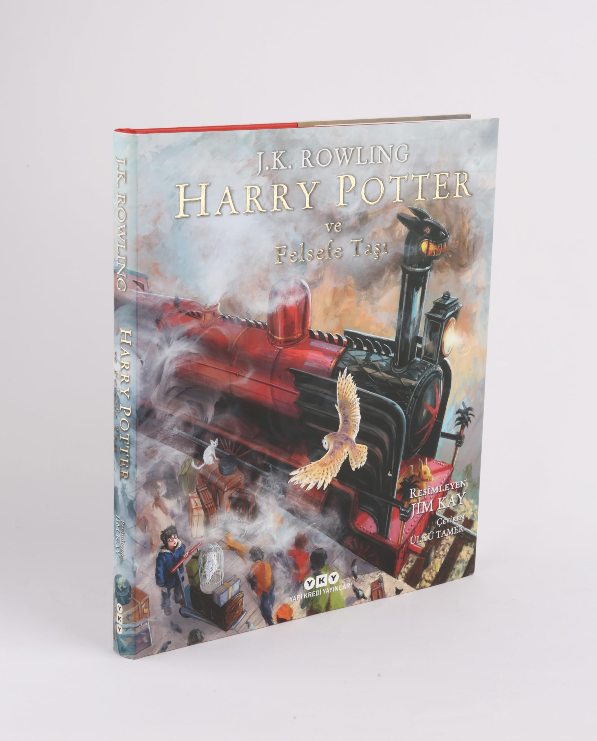 Harry Potter ve Felsefe Tasi book