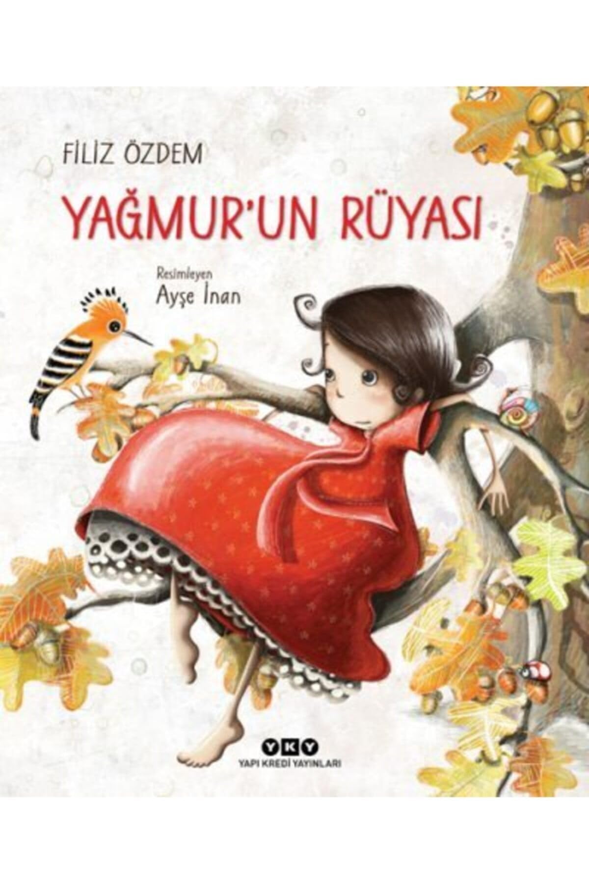 Yagmurun Rüyasi book