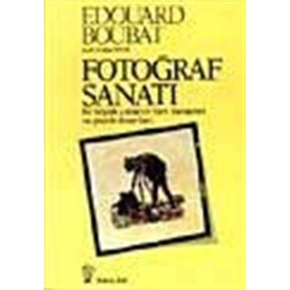 Fotograf Sanati-Inkilap book