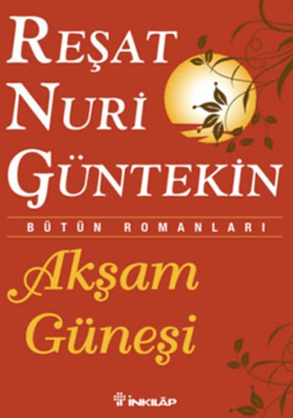 Aksam Günesi Gencler Icin Contemporary literature