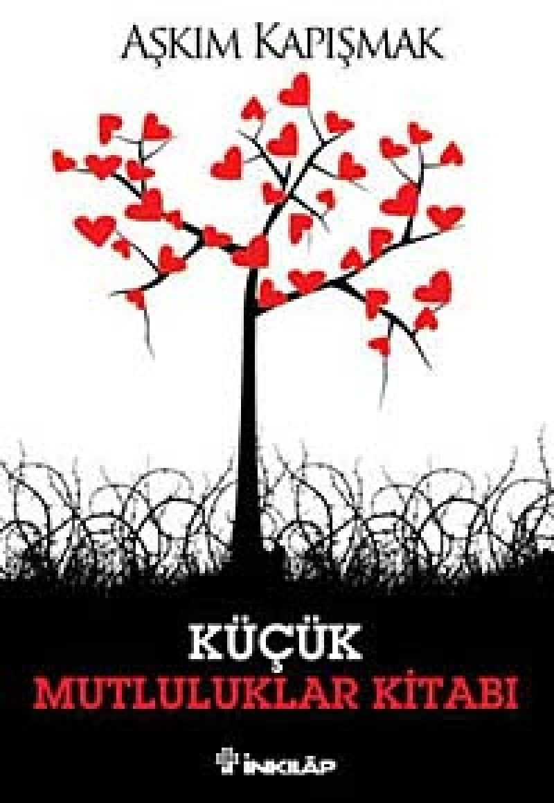 Product Image: Kücük Mutluluklar Kitabi