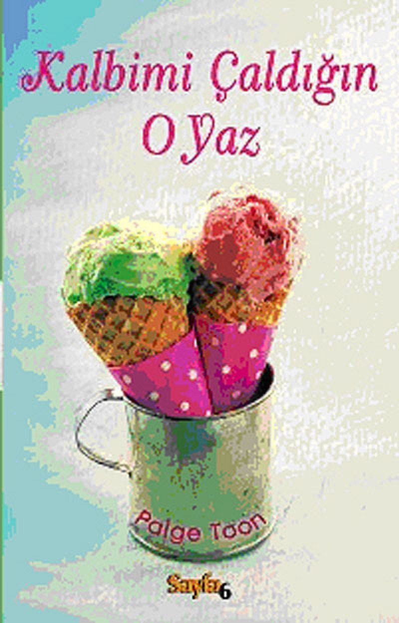 Kalbimi Çaldığın O Yaz book