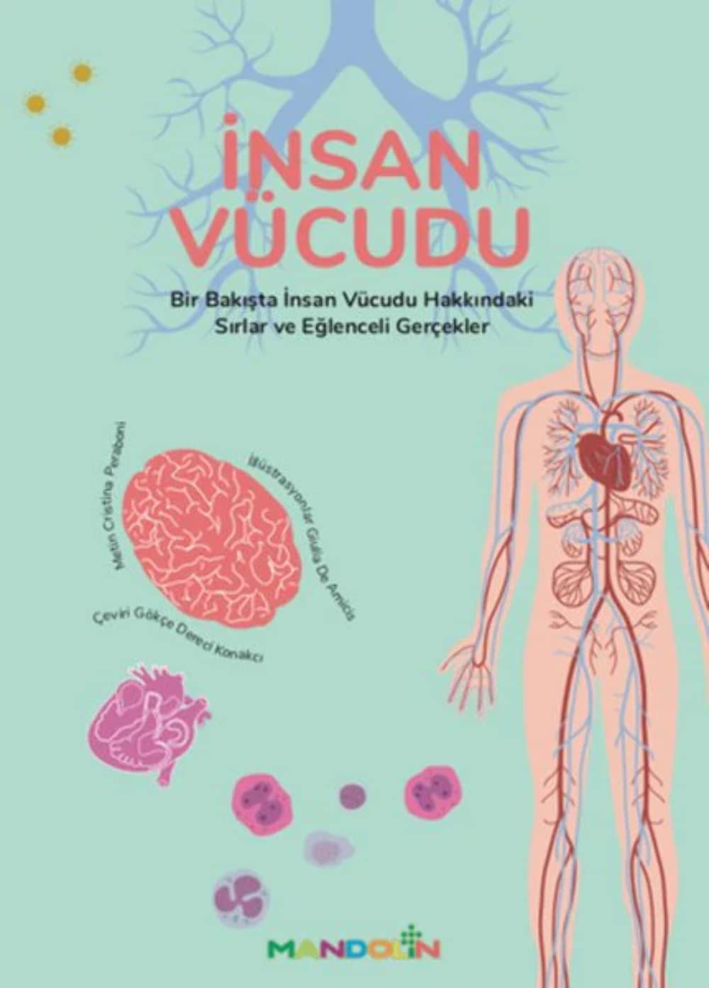 İnsan Vücudu: Bir Bakışta İnsan Vücudu Hakkındaki Sırlar ve Eğlenceli Gerçekler book