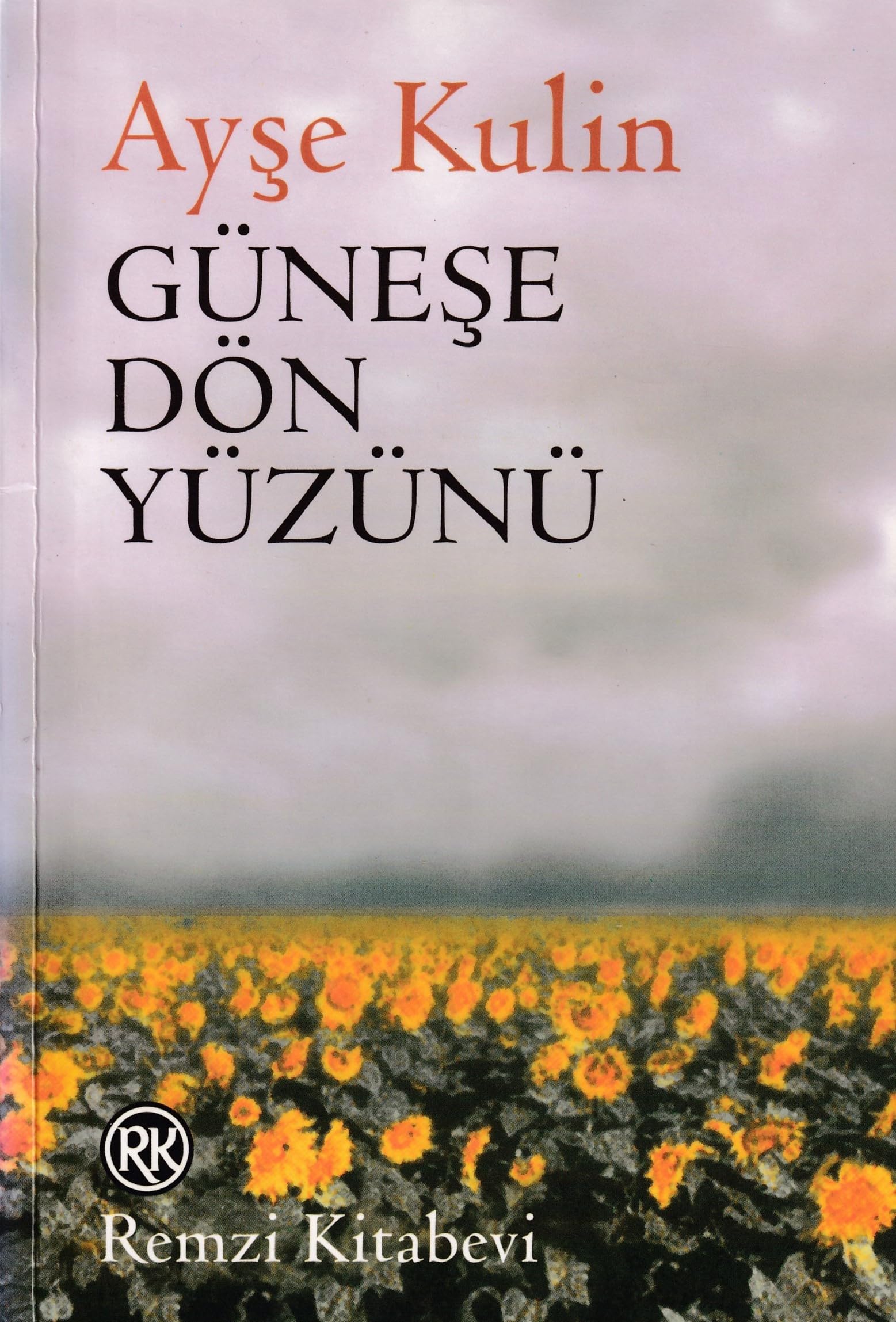 Güneşe Dön Yüzünü book