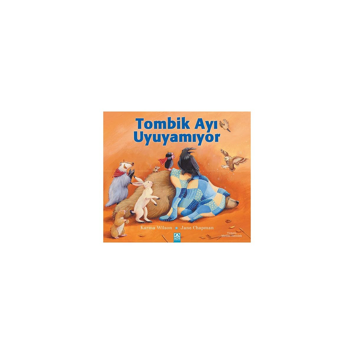 Tombik Ayı Uyuyamıyor book
