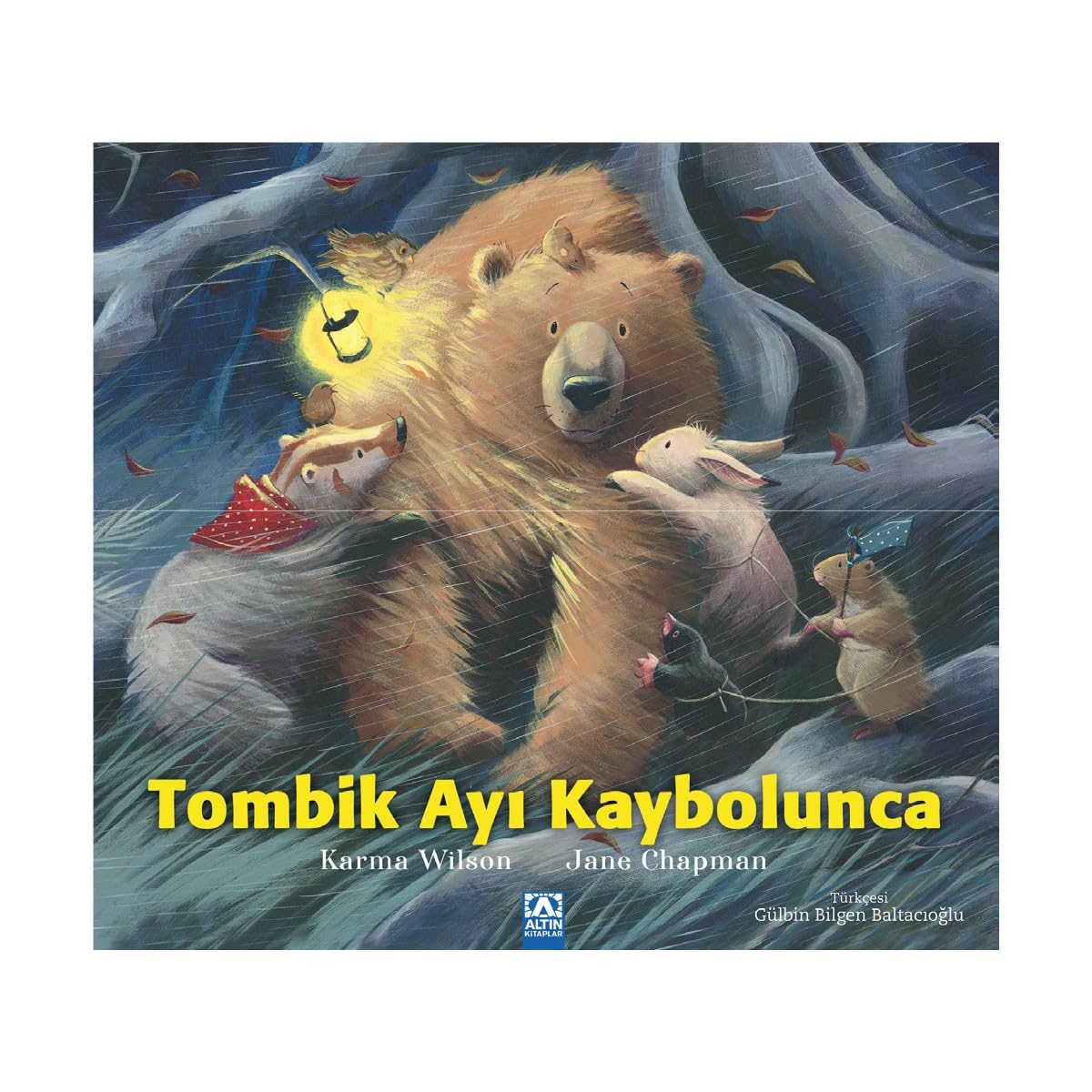 Tombik Ayı Kaybolunca book