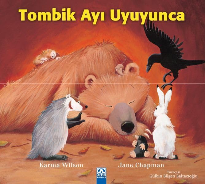 Tombik Ayı Uyuyunca book
