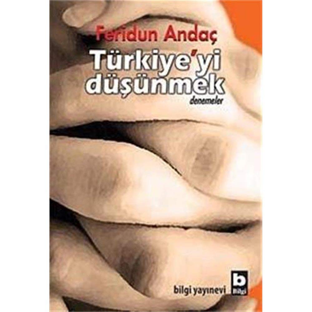 Türkiye'yi Düşünmek Essays & Short Stories